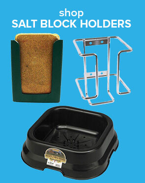 Salt Block Holders